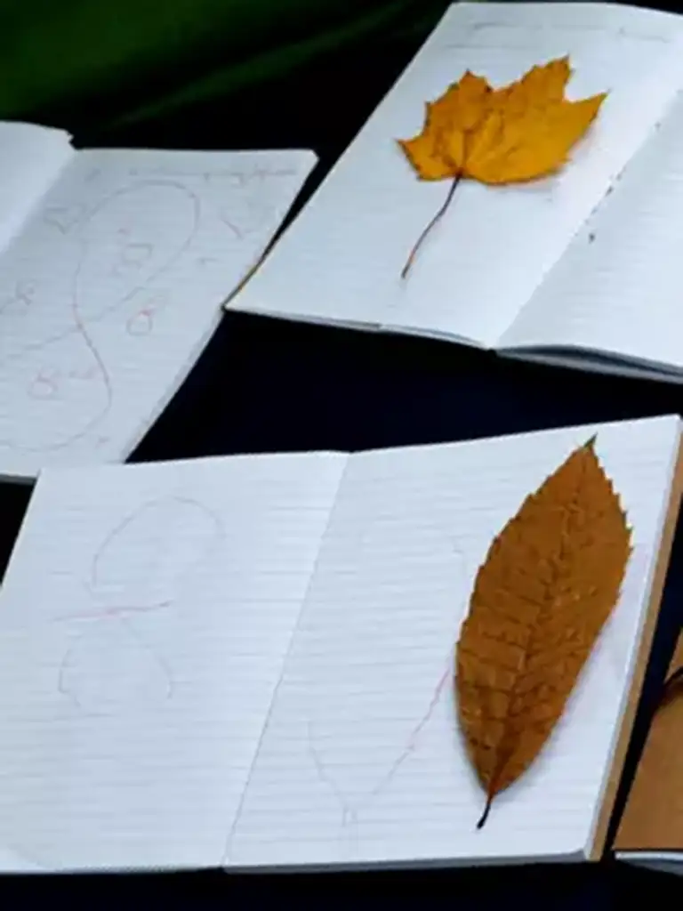 cahier_exercices2 cahier d'exercices avec des feuilles d'automne